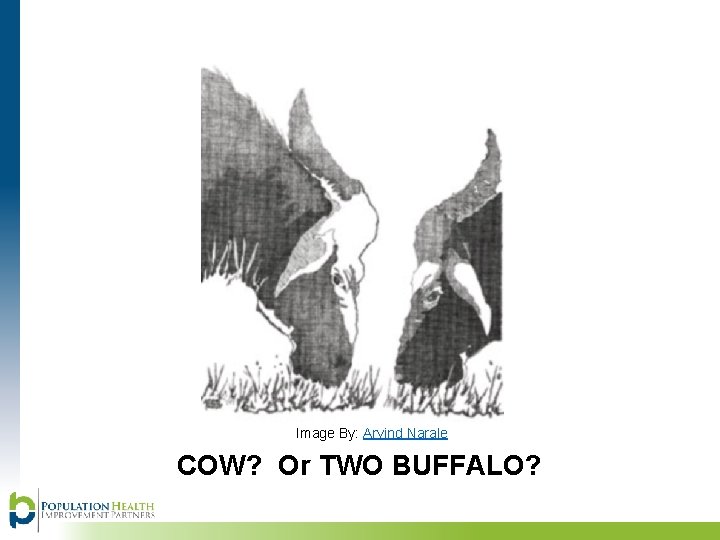 Image By: Arvind Narale COW? Or TWO BUFFALO? 
