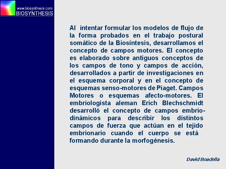 Al intentar formular los modelos de flujo de la forma probados en el trabajo