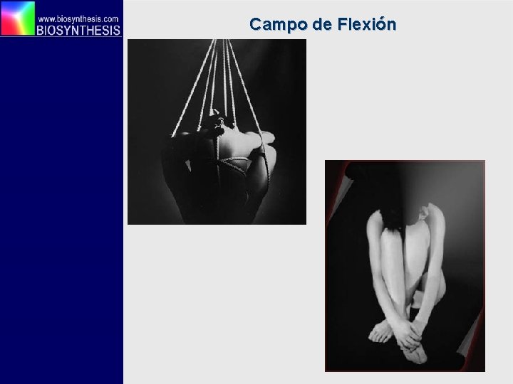 Campo de Flexión 