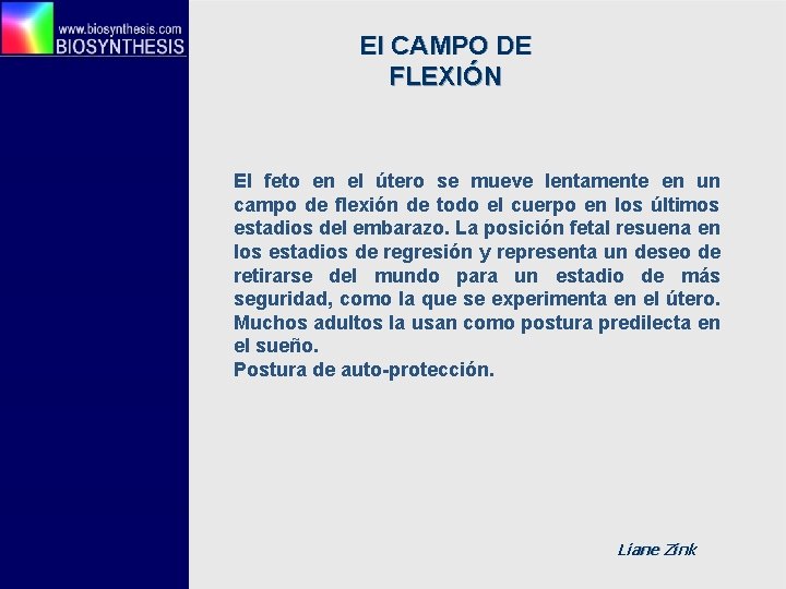 El CAMPO DE FLEXIÓN El feto en el útero se mueve lentamente en un