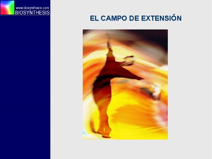 EL CAMPO DE EXTENSIÓN 