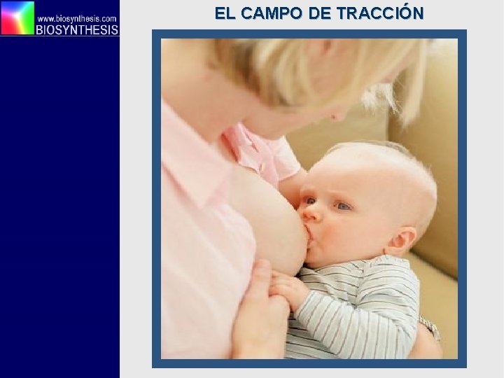 EL CAMPO DE TRACCIÓN 