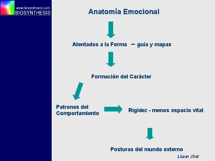 Anatomía Emocional Atentados a la Forma – guía y mapas Formación del Carácter Patrones