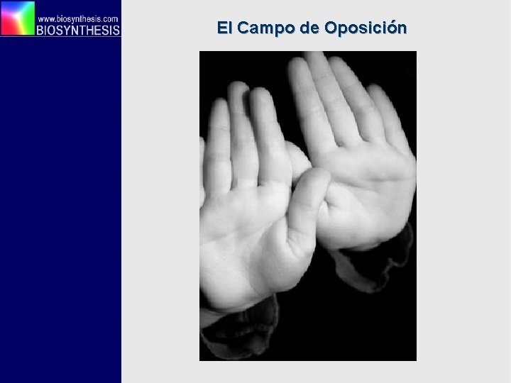 El Campo de Oposición 