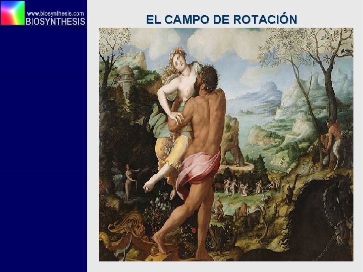 EL CAMPO DE ROTACIÓN 