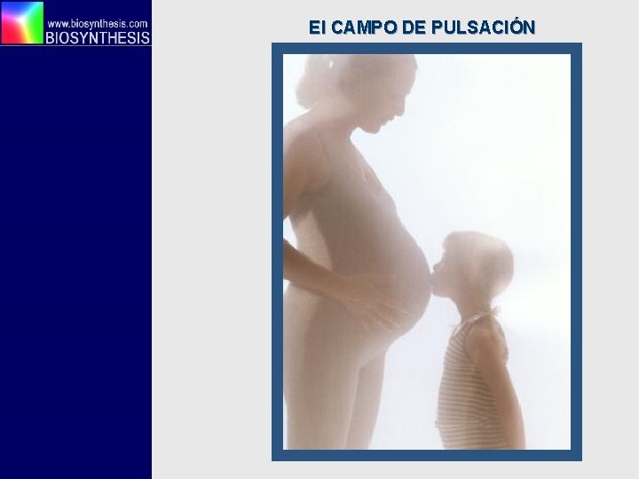 El CAMPO DE PULSACIÓN 