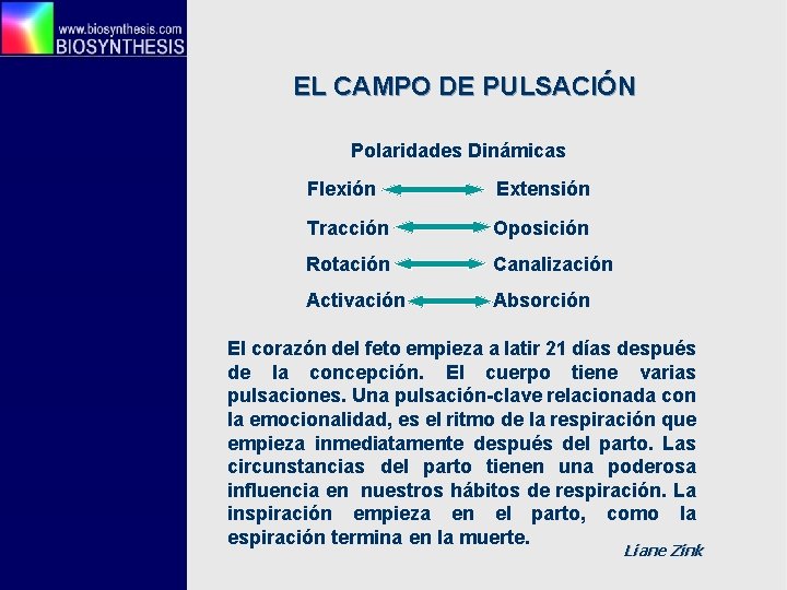 EL CAMPO DE PULSACIÓN Polaridades Dinámicas Flexión Extensión Tracción Oposición Rotación Canalización Activación Absorción