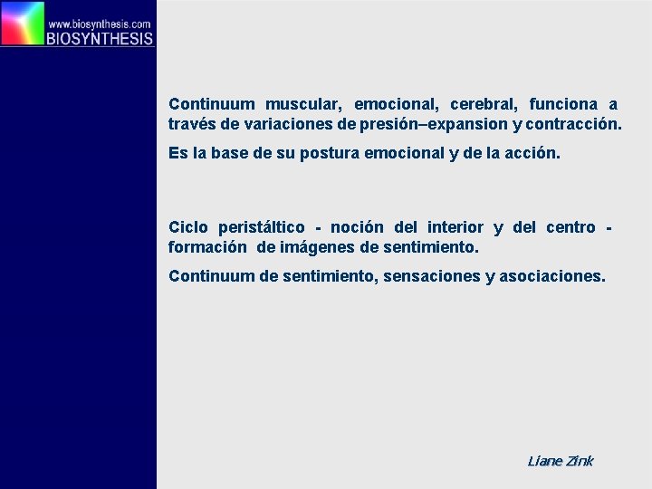 Continuum muscular, emocional, cerebral, funciona a través de variaciones de presión–expansion y contracción. Es