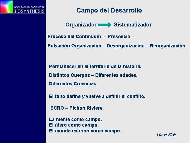 Campo del Desarrollo Organizador Sistematizador Proceso del Continuum - Presencia - Pulsación Organización –