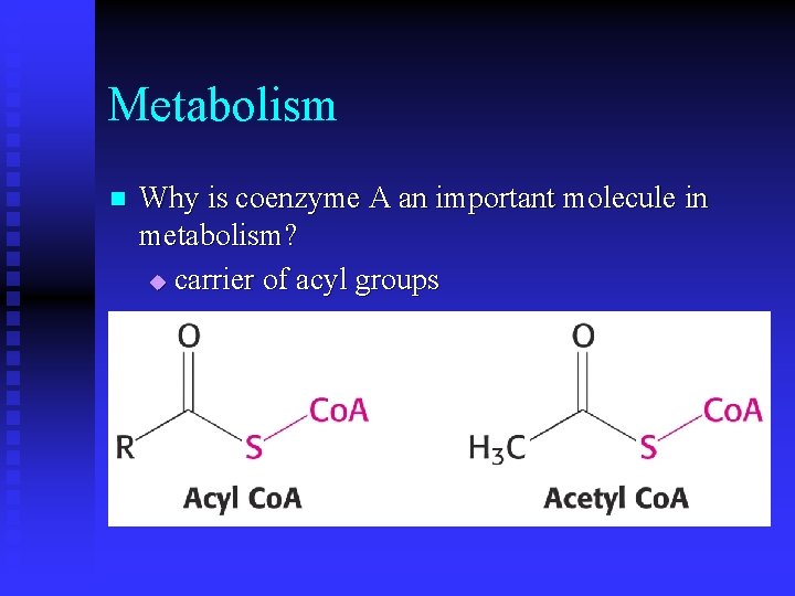 Metabolism n Why is coenzyme A an important molecule in metabolism? u carrier of