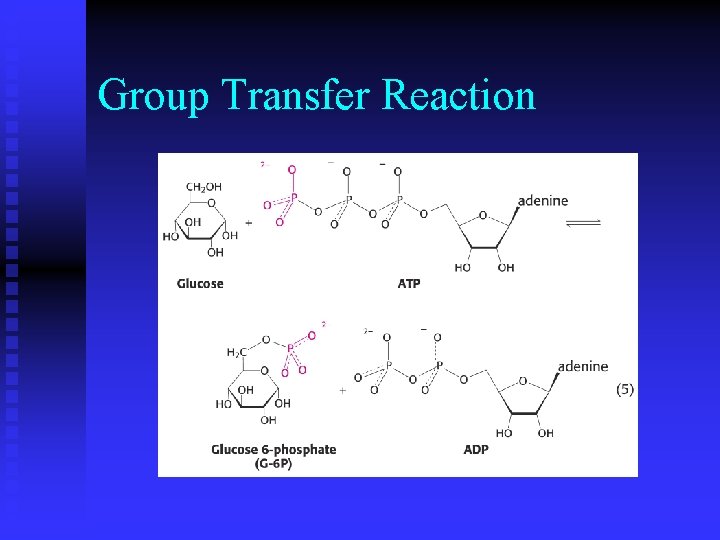 Group Transfer Reaction 