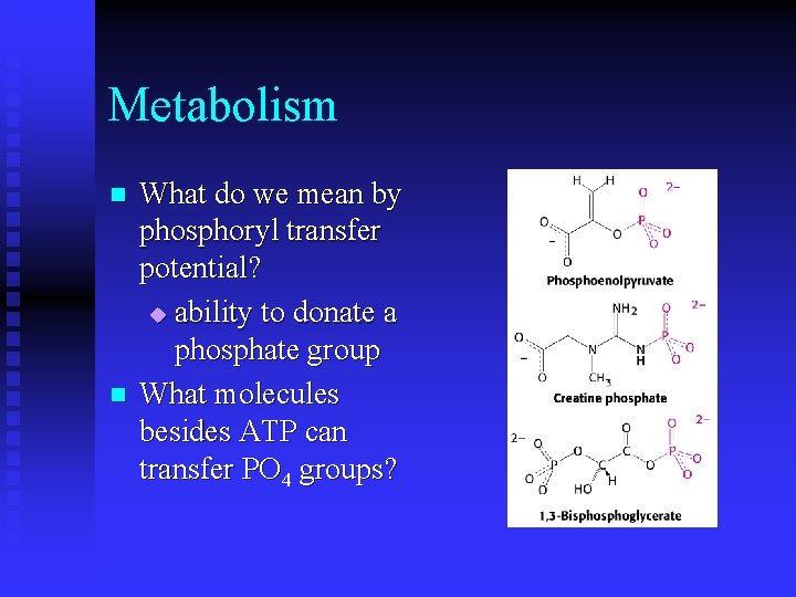 Metabolism n n What do we mean by phosphoryl transfer potential? u ability to