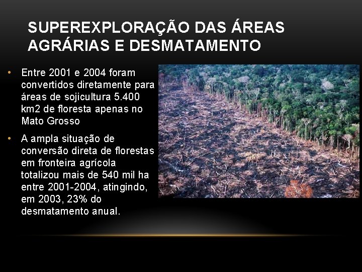 SUPEREXPLORAÇÃO DAS ÁREAS AGRÁRIAS E DESMATAMENTO • Entre 2001 e 2004 foram convertidos diretamente