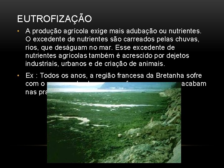 EUTROFIZAÇÃO • A produção agrícola exige mais adubação ou nutrientes. O excedente de nutrientes