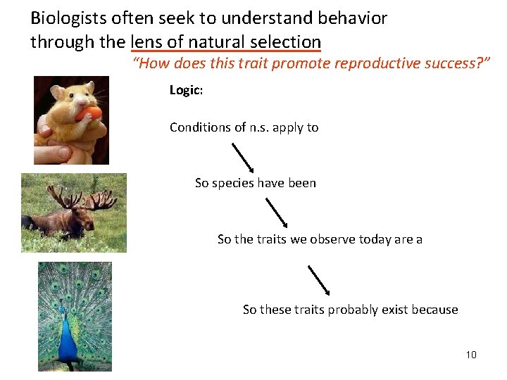 Biologists often seek to understand behavior through the lens of natural selection “How does