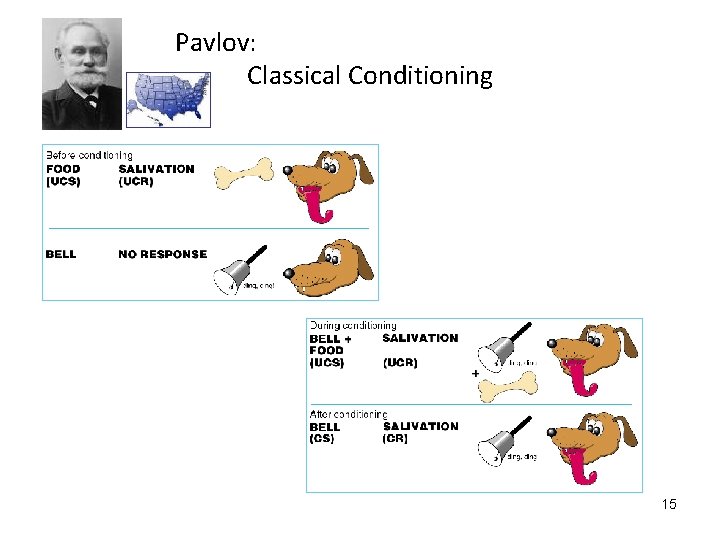 Pavlov: Classical Conditioning 15 