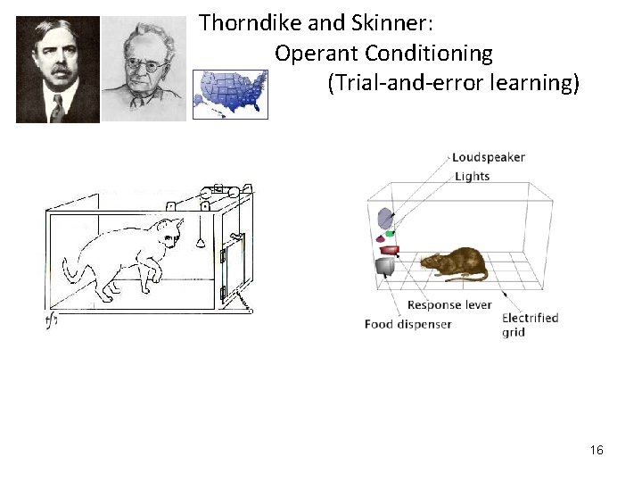 Thorndike and Skinner: Operant Conditioning (Trial-and-error learning) 16 