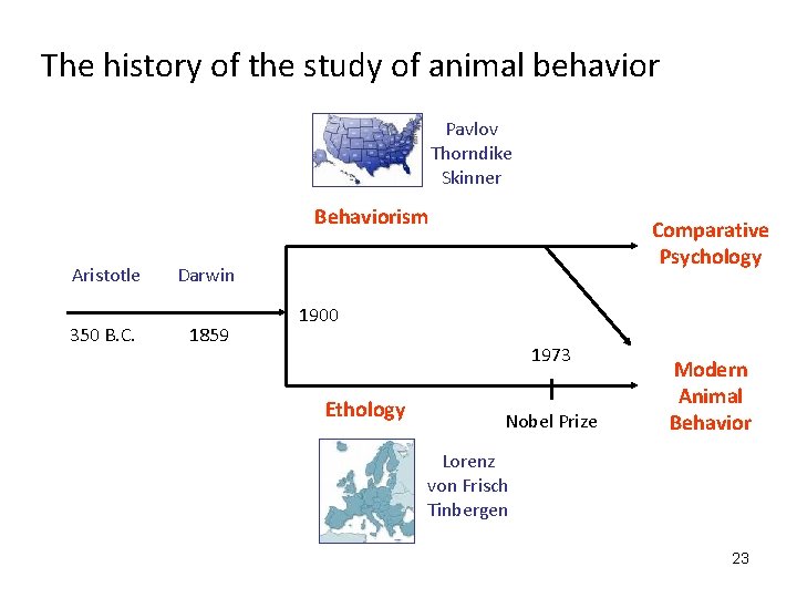 The history of the study of animal behavior Pavlov Thorndike Skinner Behaviorism Aristotle 350