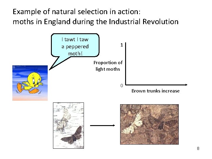 Example of natural selection in action: moths in England during the Industrial Revolution I
