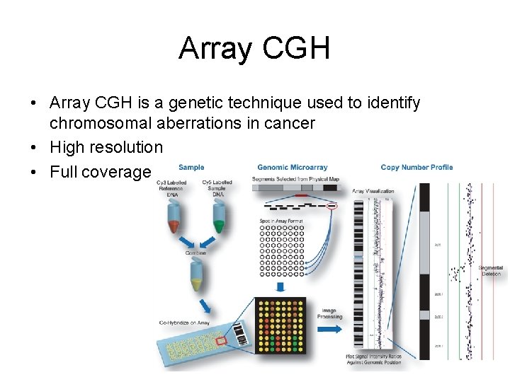 Array CGH • Array CGH is a genetic technique used to identify chromosomal aberrations