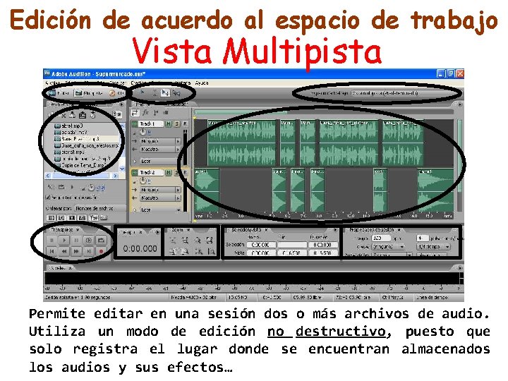 Edición de acuerdo al espacio de trabajo Vista Multipista Permite editar en una sesión