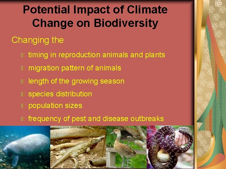 The Effects of Climate Change on Biological Diversity