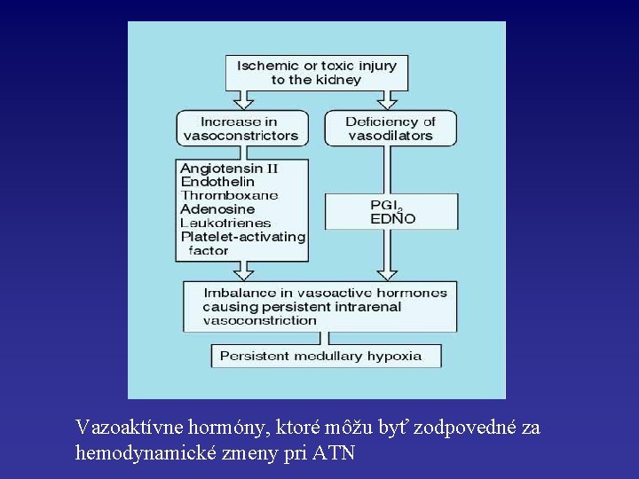 Vazoaktívne hormóny, ktoré môžu byť zodpovedné za hemodynamické zmeny pri ATN 