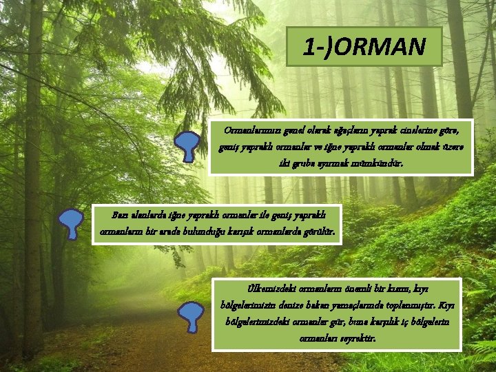 1 -)ORMAN Ormanlarımızı genel olarak ağaçların yaprak cinslerine göre, geniş yapraklı ormanlar ve iğne