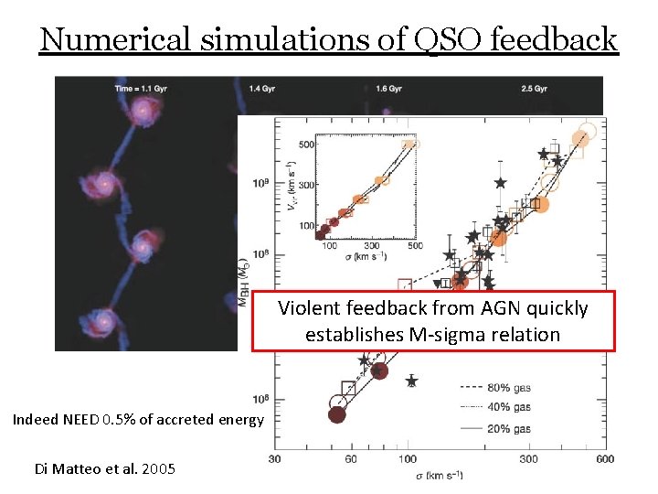 Numerical simulations of QSO feedback Violent feedback from AGN quickly establishes M-sigma relation Indeed