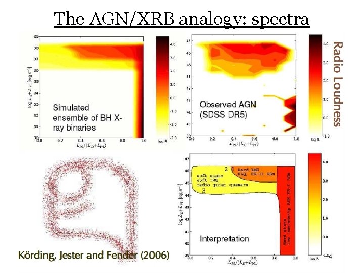 The AGN/XRB analogy: spectra 