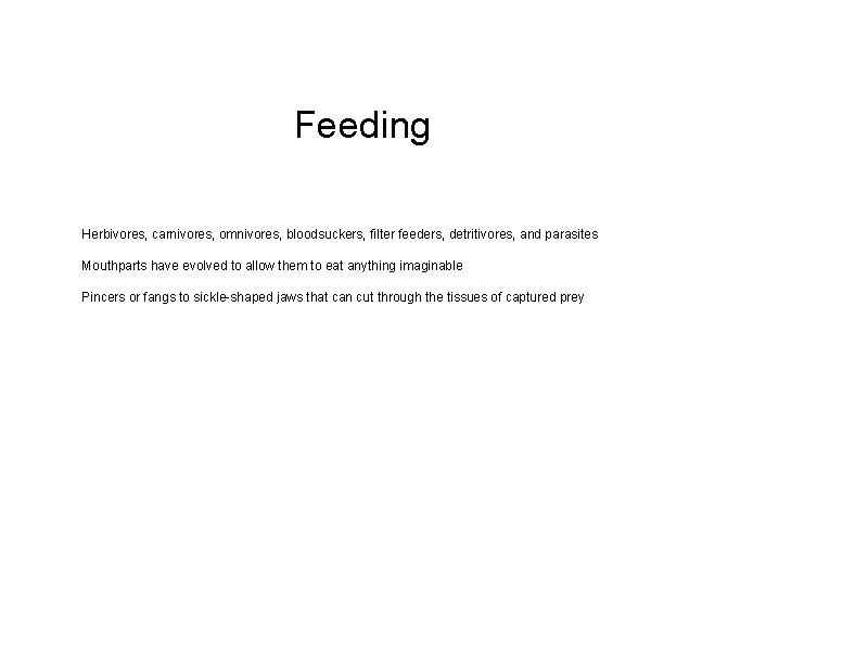 Feeding Herbivores, carnivores, omnivores, bloodsuckers, filter feeders, detritivores, and parasites Mouthparts have evolved to