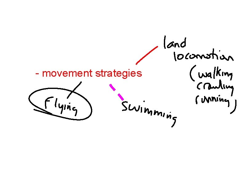 - movement strategies 