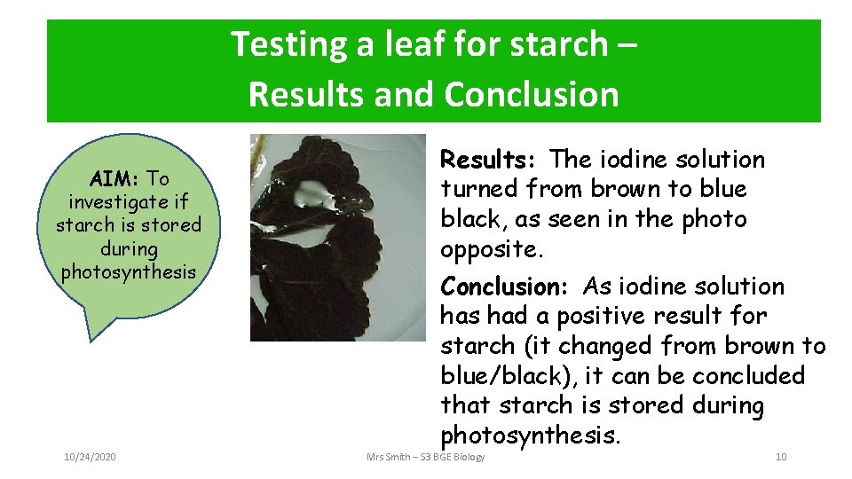 Testing a leaf for starch – Method Results and Conclusion AIM: To investigate if