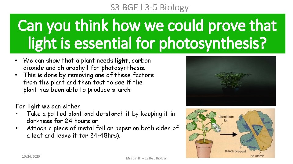 S 3 BGE L 3 -5 Biology Can you think how we could prove