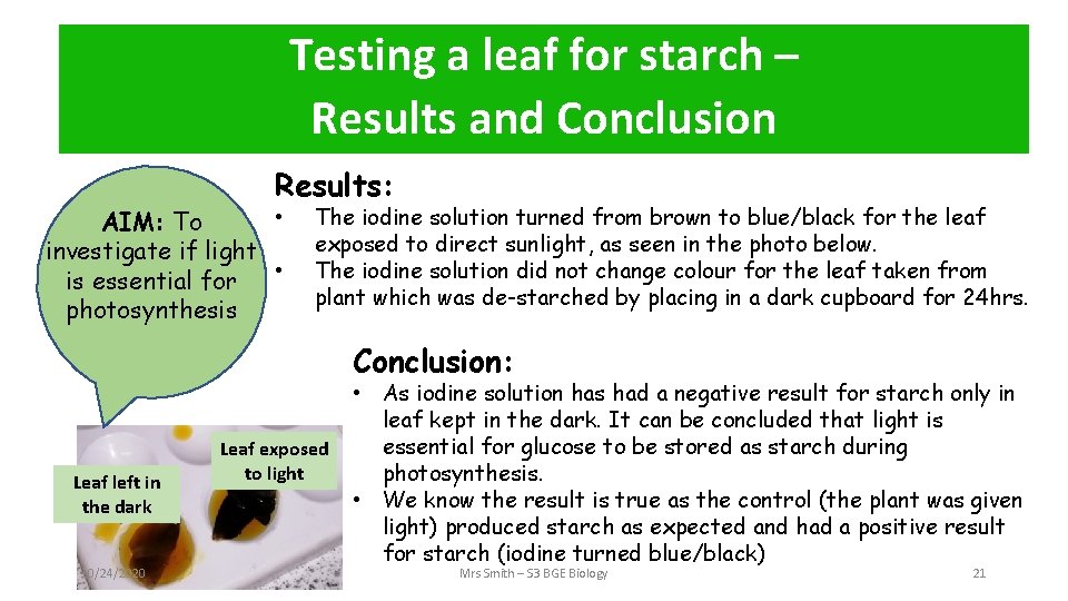 Testing a leaf for starch – Method Results and Conclusion Results: • AIM: To