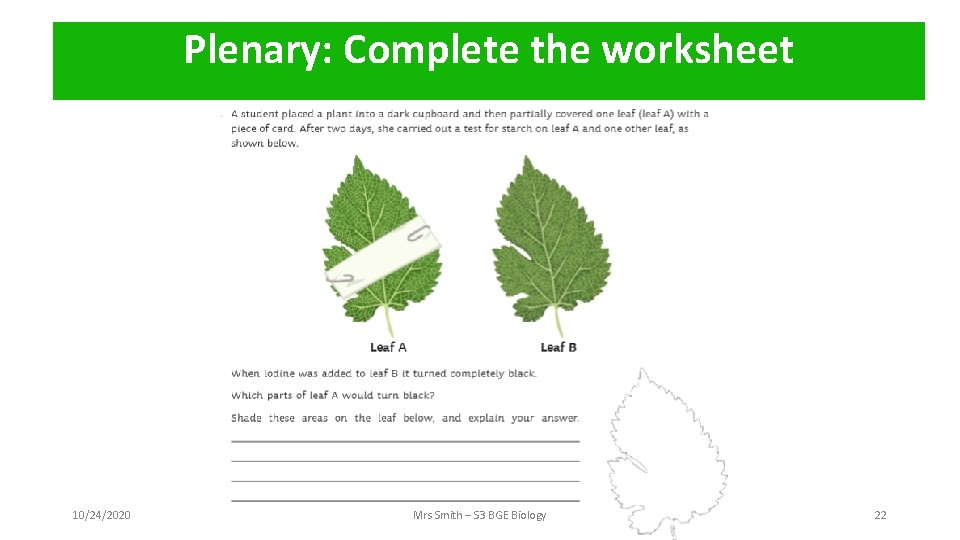 Plenary: Complete the worksheet 10/24/2020 Mrs Smith – S 3 BGE Biology 22 