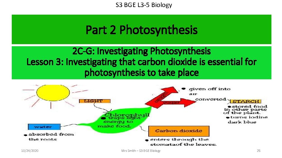 S 3 BGE L 3 -5 Biology Part 2 Photosynthesis 2 C-G: Investigating Photosynthesis