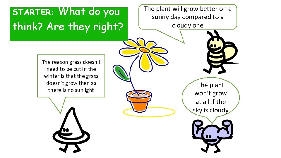 What do you think? Are they right? STARTER: The reason grass doesn't need to