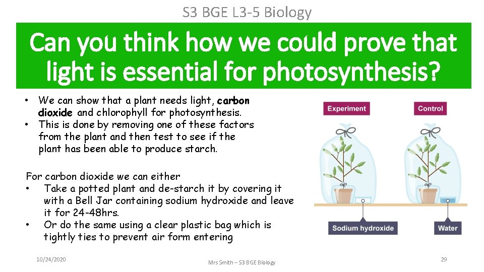 S 3 BGE L 3 -5 Biology Can you think how we could prove