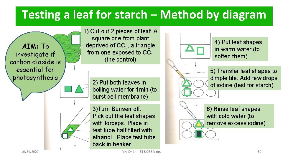 Testing a leaf for starch – Method by diagram AIM: To investigate if carbon