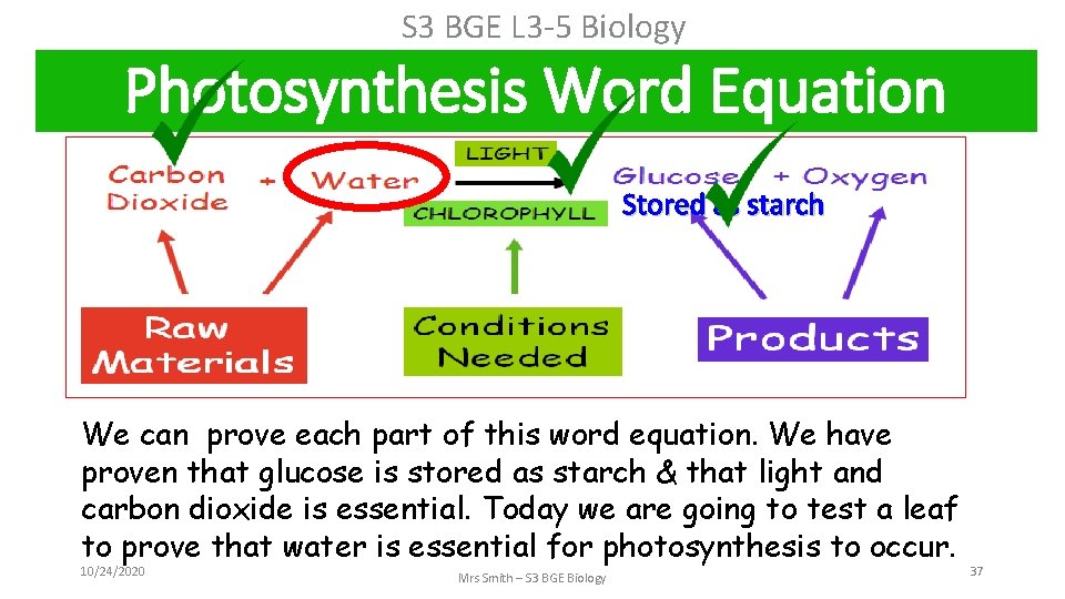 S 3 BGE L 3 -5 Biology Photosynthesis Word Equation Stored as starch We