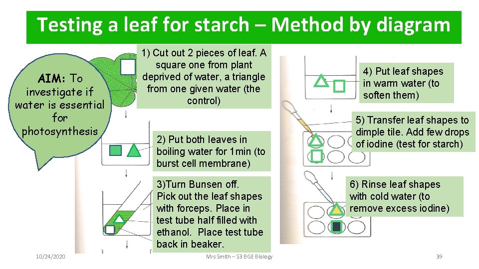 Testing a leaf for starch – Method by diagram AIM: To investigate if water