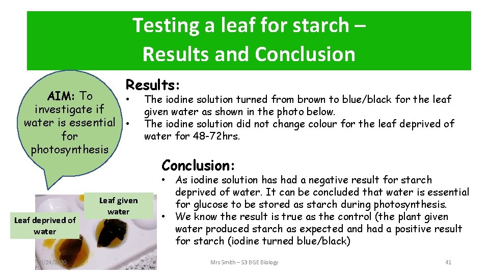 Testing a leaf for starch – Method Results and Conclusion Results: AIM: To •