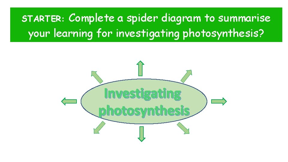 Complete a spider diagram to summarise your learning for investigating photosynthesis? STARTER: Investigating photosynthesis