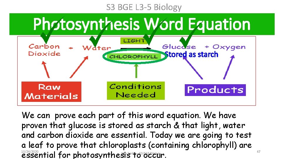 S 3 BGE L 3 -5 Biology Photosynthesis Word Equation Stored as starch We