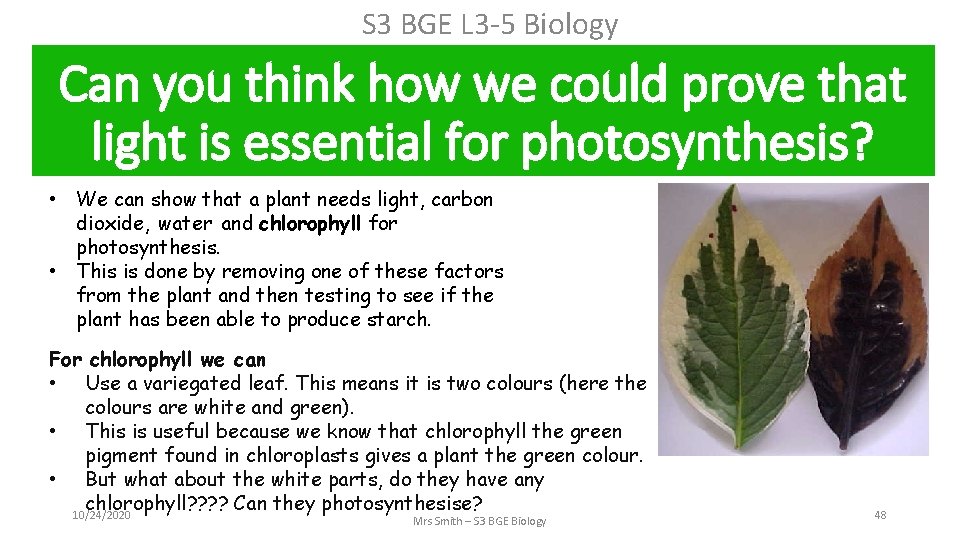 S 3 BGE L 3 -5 Biology Can you think how we could prove