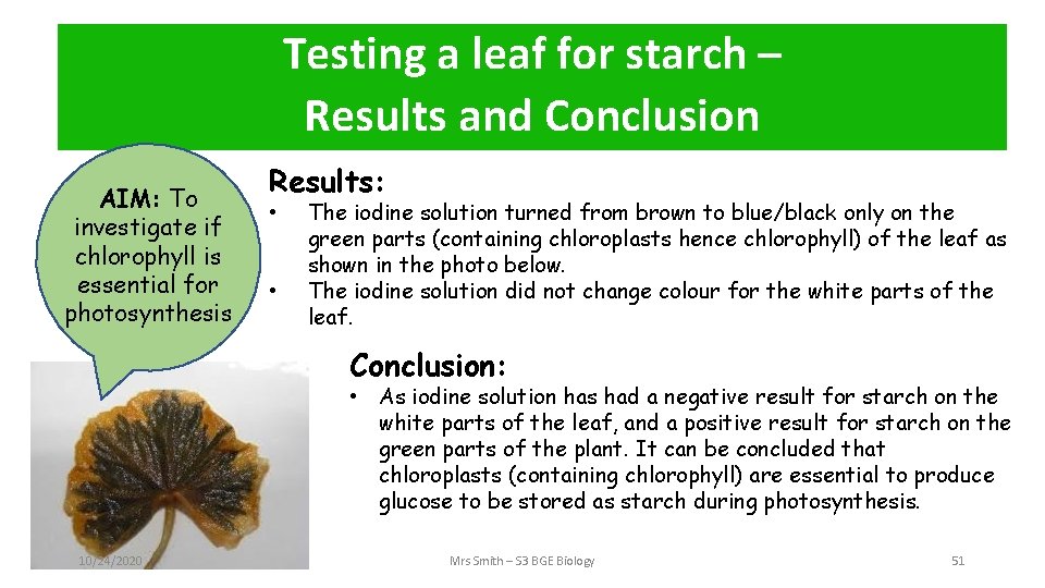 Testing a leaf for starch – Method Results and Conclusion AIM: To investigate if