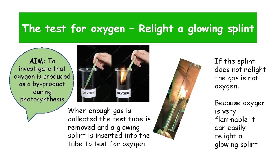 The test for oxygen – Relight a glowing splint AIM: To investigate that oxygen