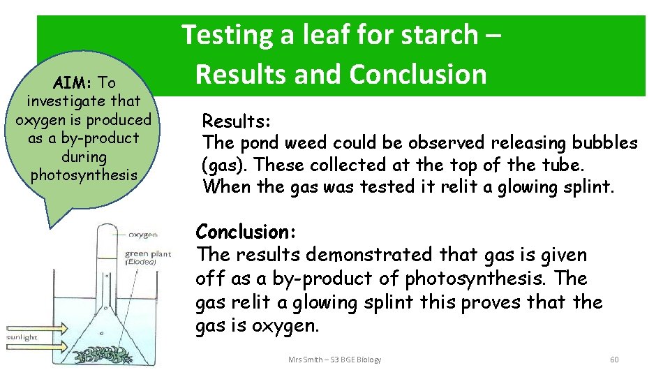 Testing a leaf for starch – Method Results and Conclusion AIM: To investigate that
