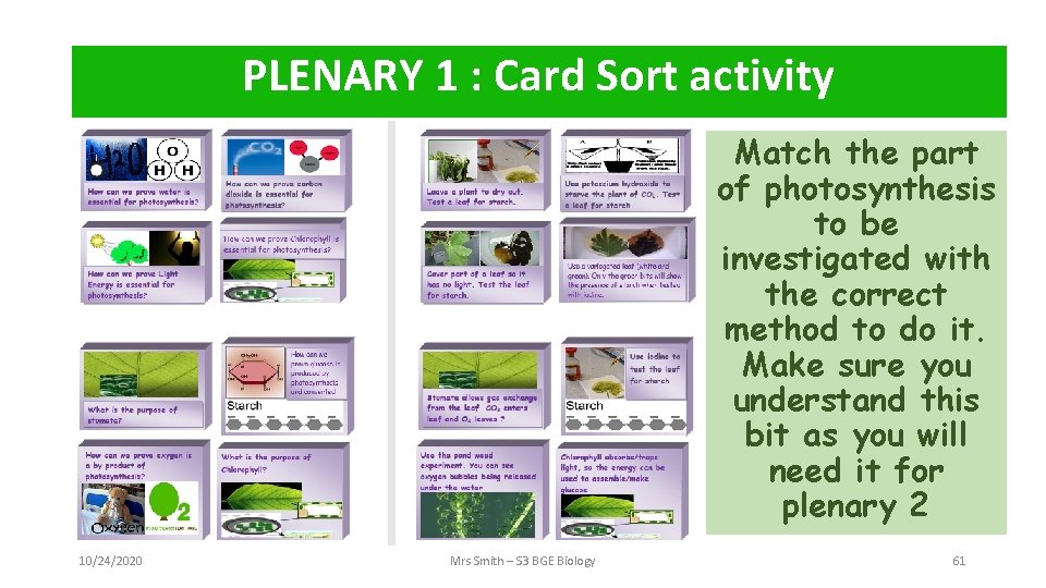 PLENARY 1 : Card Sort activity 10/24/2020 Mrs Smith – S 3 BGE Biology